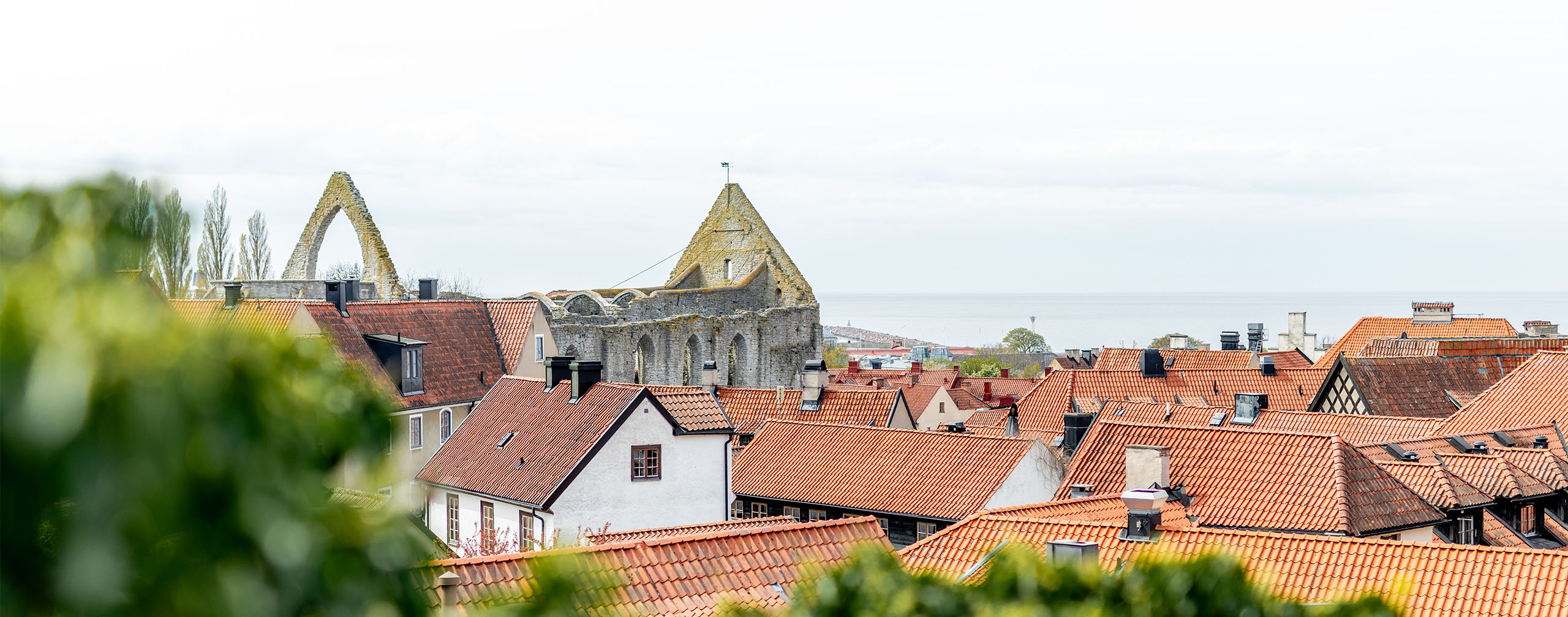 Visby världsarv - Hero