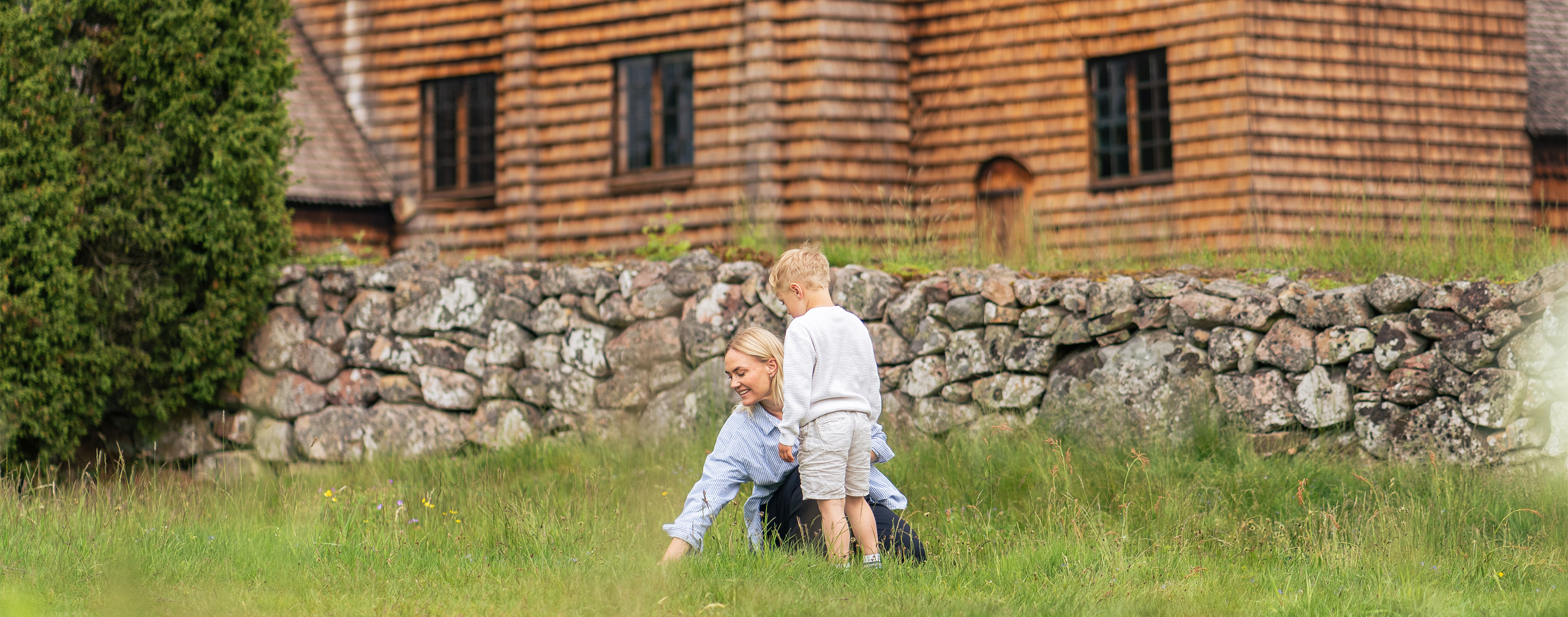 Smultronställen - Hero
