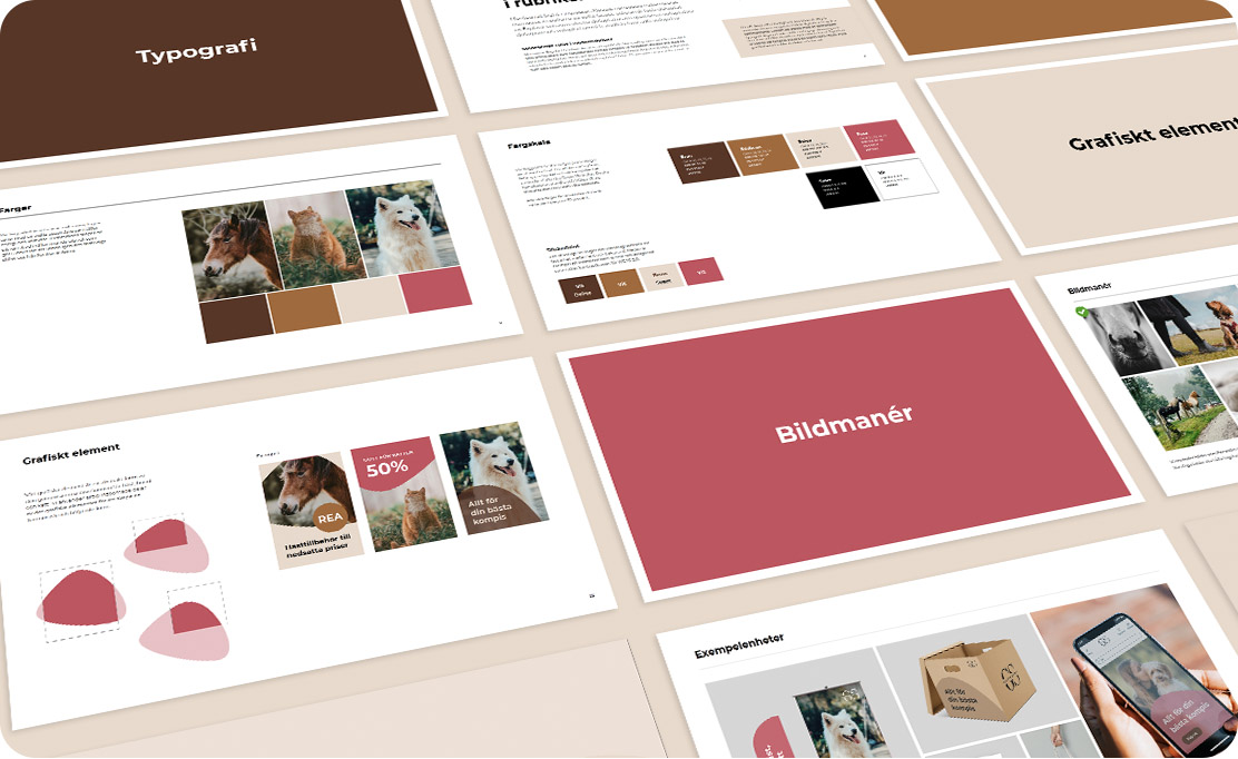 Globus-Fullbreddsbild